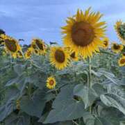 ヒメ日記 2025/07/23 07:48 投稿 紗由 モアグループ所沢人妻城