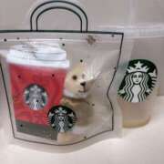 ヒメ日記 2025/11/11 17:12 投稿 紗由 モアグループ所沢人妻城