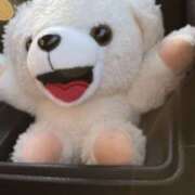 ヒメ日記 2026/03/12 12:06 投稿 紗由 モアグループ所沢人妻城