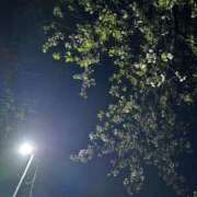 ヒメ日記 2026/04/13 08:03 投稿 紗由 モアグループ所沢人妻城