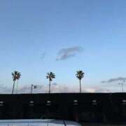 ヒメ日記 2025/05/06 18:42 投稿 愛子(あいこ) 黒薔薇