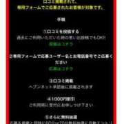ヒメ日記 2025/06/04 06:20 投稿 愛子(あいこ) 黒薔薇