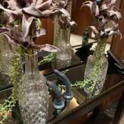 ヒメ日記 2025/07/11 10:00 投稿 愛子(あいこ) 黒薔薇