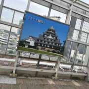 ヒメ日記 2025/11/12 15:58 投稿 愛子(あいこ) 黒薔薇