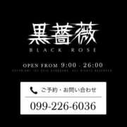 ヒメ日記 2025/12/07 09:00 投稿 愛子(あいこ) 黒薔薇