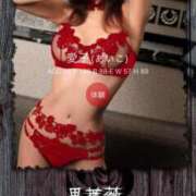 ヒメ日記 2025/12/11 03:00 投稿 愛子(あいこ) 黒薔薇