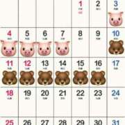 ヒメ日記 2026/01/08 00:00 投稿 愛子(あいこ) 黒薔薇