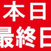 ヒメ日記 2026/06/07 08:00 投稿 愛子(あいこ) 黒薔薇