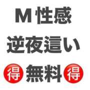 ヒメ日記 2026/09/20 09:01 投稿 愛子(あいこ) 黒薔薇
