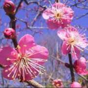 ヒメ日記 2025/03/10 14:34 投稿 ゆずき 快楽夫人