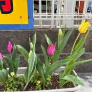 ヒメ日記 2025/04/01 12:03 投稿 ゆずき 快楽夫人