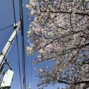 ヒメ日記 2025/04/08 22:00 投稿 るな わちゃわちゃ密着リアルフルーちゅ西船橋