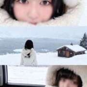 ヒメ日記 2026/01/09 07:07 投稿 りおん 深海魚