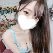 雨宮せいか 次回🈳 ブルーバード