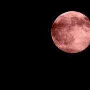 ヒメ日記 2025/06/11 19:22 投稿 ゆかり 千姫(道後)