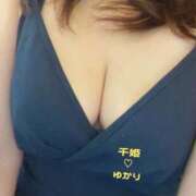 ヒメ日記 2026/07/09 10:50 投稿 ゆかり 千姫(道後)