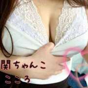 ヒメ日記 2025/03/28 17:02 投稿 こころ 山口下関ちゃんこ