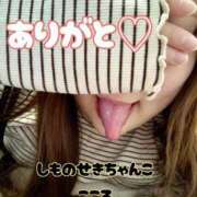 ヒメ日記 2025/03/29 16:42 投稿 こころ 山口下関ちゃんこ