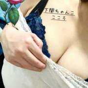 ヒメ日記 2025/04/02 13:52 投稿 こころ 山口下関ちゃんこ