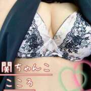 ヒメ日記 2025/04/11 16:35 投稿 こころ 山口下関ちゃんこ