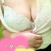 ヒメ日記 2025/04/12 16:02 投稿 こころ 山口下関ちゃんこ