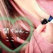 ヒメ日記 2025/04/15 13:22 投稿 こころ 山口下関ちゃんこ