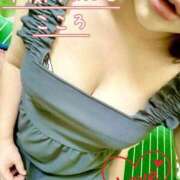 ヒメ日記 2025/04/20 13:22 投稿 こころ 山口下関ちゃんこ