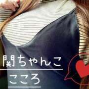 ヒメ日記 2025/04/23 13:02 投稿 こころ 山口下関ちゃんこ