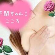 ヒメ日記 2025/04/24 13:12 投稿 こころ 山口下関ちゃんこ