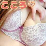 ヒメ日記 2025/05/17 15:47 投稿 こころ 山口下関ちゃんこ