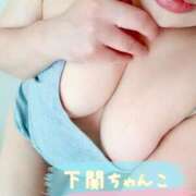 ヒメ日記 2025/05/20 15:27 投稿 こころ 山口下関ちゃんこ