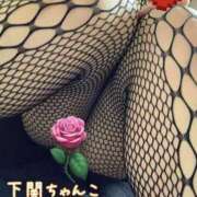 ヒメ日記 2025/05/27 13:27 投稿 こころ 山口下関ちゃんこ