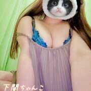 ヒメ日記 2025/06/02 17:37 投稿 こころ 山口下関ちゃんこ