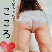 ヒメ日記 2025/06/14 14:17 投稿 こころ 山口下関ちゃんこ