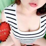 ヒメ日記 2025/06/21 14:27 投稿 こころ 山口下関ちゃんこ