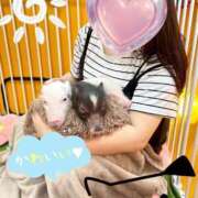 ヒメ日記 2025/07/10 14:27 投稿 こころ 山口下関ちゃんこ