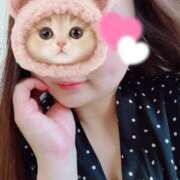 ヒメ日記 2025/07/31 14:48 投稿 こころ 山口下関ちゃんこ