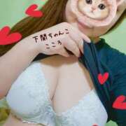 ヒメ日記 2025/08/13 18:23 投稿 こころ 山口下関ちゃんこ