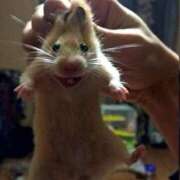 ヒメ日記 2025/06/14 15:05 投稿 マイ ソープランドMAX‐マックス- 浅草店