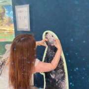 ヒメ日記 2025/07/01 21:42 投稿 いおり 激安ソープの殿堂　ボイン・ホーテ