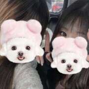 ヒメ日記 2025/07/26 12:30 投稿 いおり 激安ソープの殿堂　ボイン・ホーテ