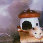 ヒメ日記 2025/03/23 08:59 投稿 桜井 ひなた カサノヴァ