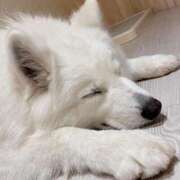 ヒメ日記 2025/04/22 17:15 投稿 桜井 ひなた カサノヴァ