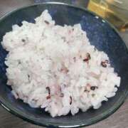 ヒメ日記 2025/04/24 11:19 投稿 桜井 ひなた カサノヴァ