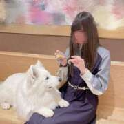 ヒメ日記 2025/04/24 18:29 投稿 桜井 ひなた カサノヴァ