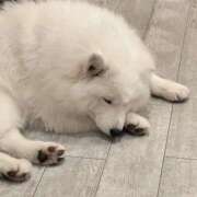 ヒメ日記 2025/05/27 13:59 投稿 桜井 ひなた カサノヴァ