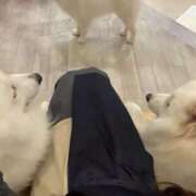 ヒメ日記 2025/06/06 14:09 投稿 桜井 ひなた カサノヴァ