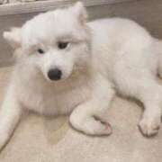 ヒメ日記 2025/07/30 08:09 投稿 桜井 ひなた カサノヴァ