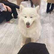 ヒメ日記 2025/08/09 07:19 投稿 桜井 ひなた カサノヴァ