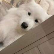 ヒメ日記 2025/09/05 18:19 投稿 桜井 ひなた カサノヴァ